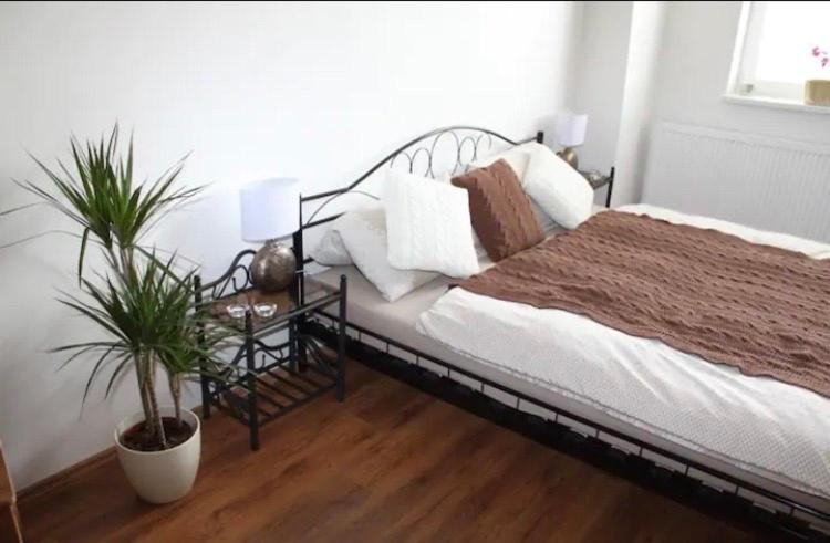 Lenka'S Cozy Red Studio + Lenka'S Cozy Gold Apartment Prague Extérieur photo